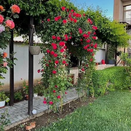 Pensiunea Dea House Гостевой дом 3*