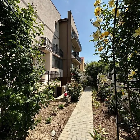 Pensiunea Dea House Гостевой дом Мамая